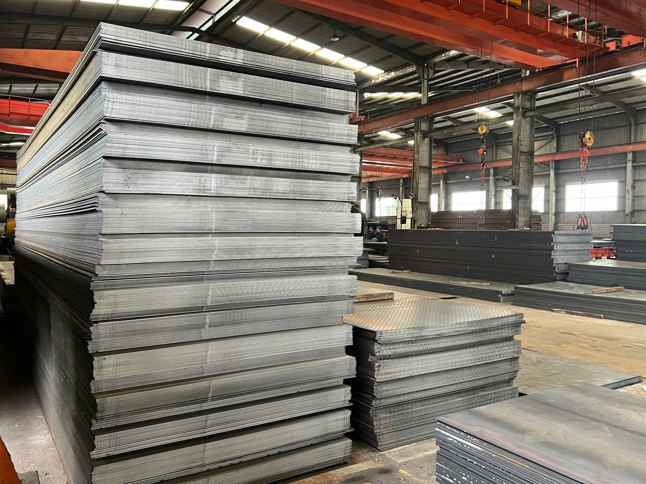 Tấm Gân - Ảnh 4